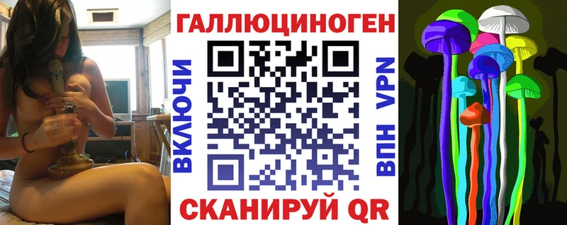 Псилоцибиновые грибы мицелий  Купить закладки  Туринск 