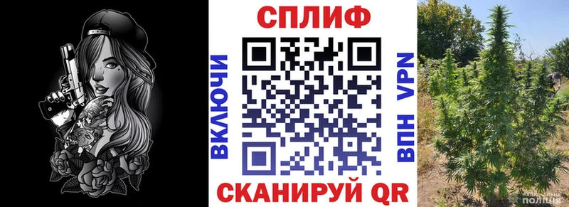 Шишки марихуана SATIVA & INDICA  Купить  Туринск 